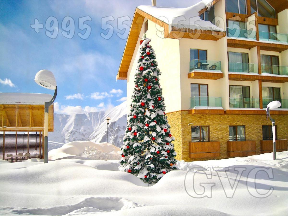 Apartment New Twins 354 Mountain View *